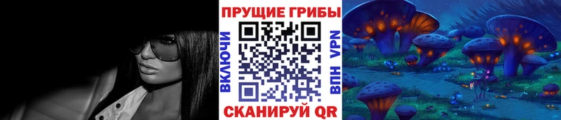 МЕГА маркетплейс  Черноголовка  Псилоцибиновые грибы прущие грибы 